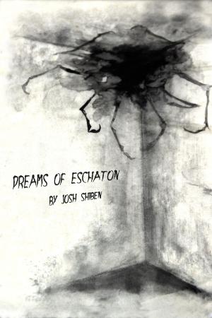 Book cover of Dreams of Eschaton