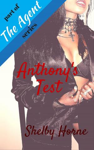 Cover of the book Anthony's Test by Abigail Gray
