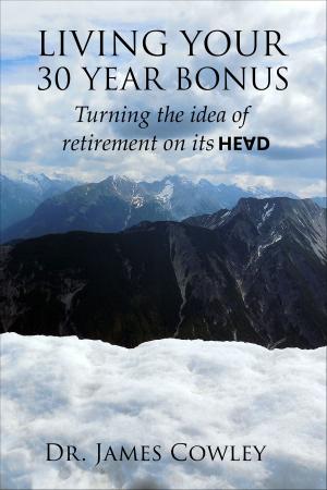 Cover of Living your 30 Year Bonus. Turning the idea of retirement on its head.