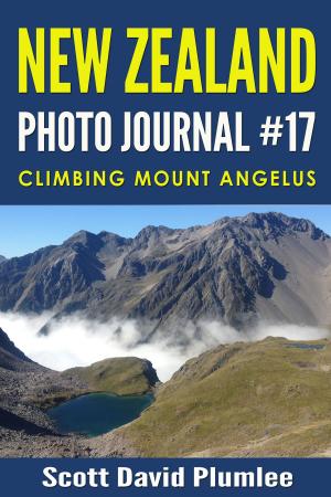 Cover of the book New Zealand Photo Journal #17: Climbing Mount Angelus by Andrey Zvyagintsev, Oleg Negin, Mikhail Krichman
