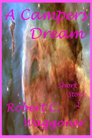 Cover of the book A Campers Dream by Stephanie Ayers