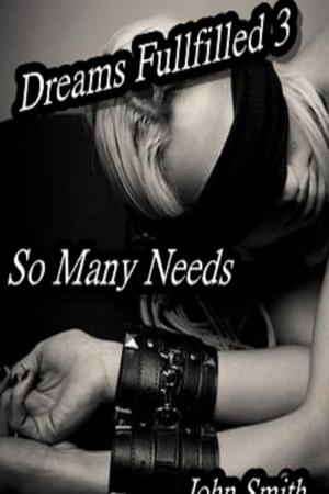 Cover of Dreams Fulfilled- 3- So Many Needs