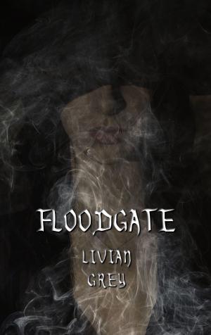 Cover of the book Floodgate by scott wellinger