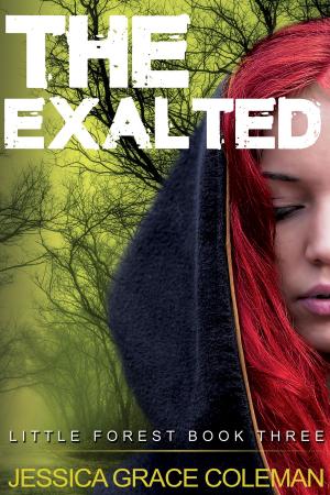 Cover of the book The Exalted by Aiden Vaughan