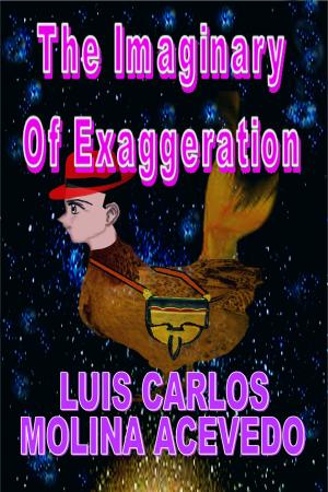 Cover of the book The Imaginary of Exaggeration by Luis Carlos Molina Acevedo