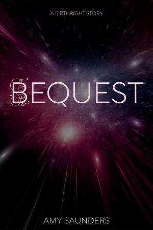 Book cover of Bequest (A Birthright Story)