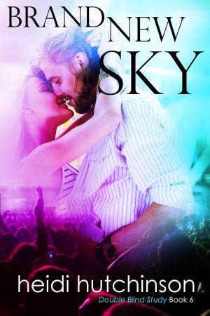 Book cover of Brand New Sky