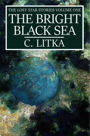 Cover of the book The Bright Black Sea by Eric Landreneau