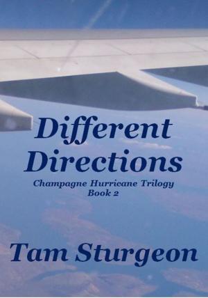 Cover of the book Different Directions: The Champagne Hurricane Trilogy - Book 2 by Prescott Lane