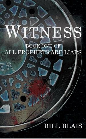 bigCover of the book Witness (All Prophets are Liars - Book 1) by 