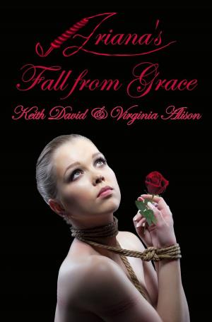 Cover of the book Ariana's Fall From Grace by David Silver