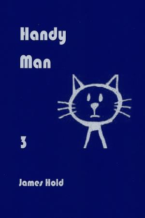 Cover of the book Handy Man by Galen Wolf