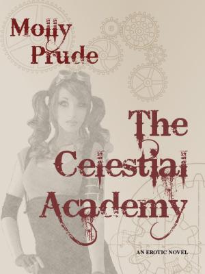 Book cover of The Celestial Academy