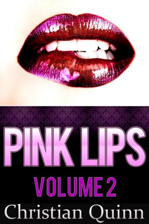 Cover of the book Pink Lips Volume Two: 5 Short and Sexy Erotic Stories by Don Schecter