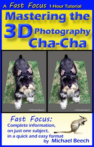Cover of the book Mastering the 3D Photography Cha-Cha by Michael Beech