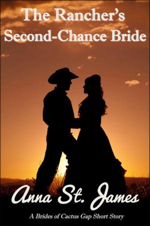 Book cover of The Rancher's Second-Chance Bride