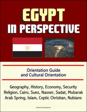 Cover of the book Egypt in Perspective: Orientation Guide and Cultural Orientation: Geography, History, Economy, Security, Religion, Cairo, Suez, Nasser, Sadat, Mubarak, Arab Spring, Islam, Coptic Christian, Nubians by Progressive Management