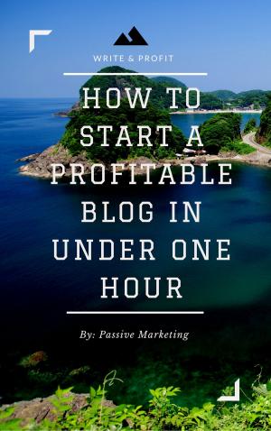Cover of How To Start A Profitable Authority Blog In Under One Hour
