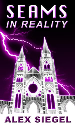 Cover of the book Seams in Reality by Jackson Allen