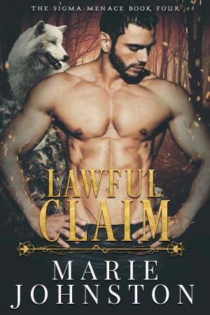 Cover of the book Lawful Claim by Rebecca Rivard
