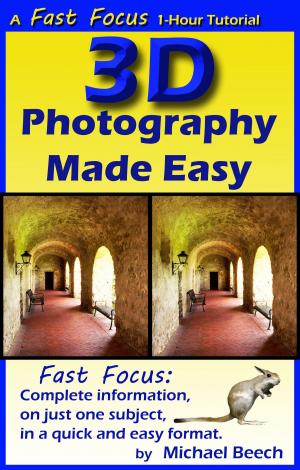 Cover of the book 3D Photography Made Easy by Paul Powici