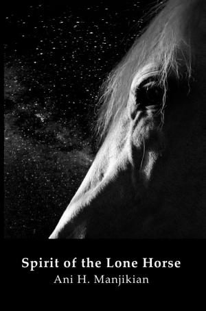 Cover of the book Spirit of the Lone Horse by Celya Bowers