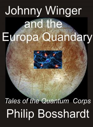 Cover of the book Johnny Winger and the Europa Quandary by David Gatesbury