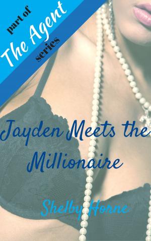 Cover of the book Jayden Meets the Millionaire by Austyn Chance