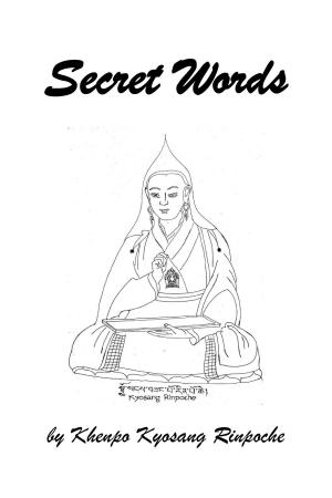 Cover of the book Secret Words by Tarthang Tulku