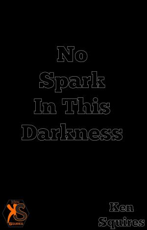 Cover of No Spark In This Darkness