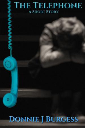 Cover of the book The Telephone by Leah Braemel