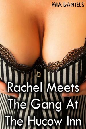 Cover of Rachel Meets the Gang at the Hucow Inn