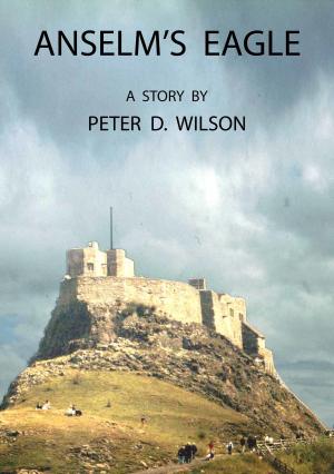 Cover of the book Anselm's Eagle by John  Gerard Sapodilla