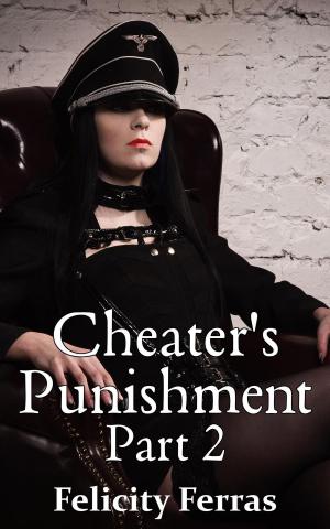 Cover of the book Cheater's Punishment 2 by Talia Trace