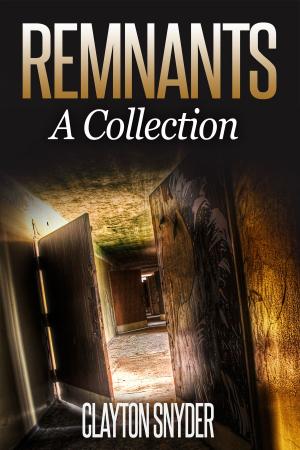 Cover of the book Remnants: A Collection by Megan O'Russell