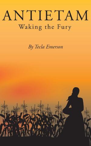 Book cover of Antietam: Waking the Fury
