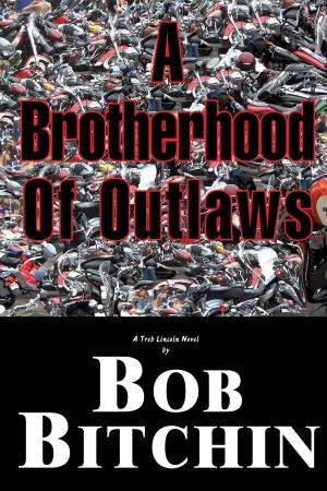 Cover of Brotherhood of Outlaws