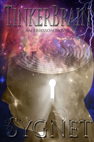 Cover of the book TinkerBrain by J.A. Redmerski