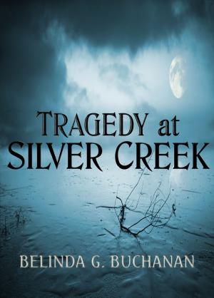 Book cover of Tragedy at Silver Creek