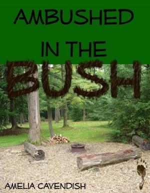 Cover of the book Ambushed in the Bush by Jordane Cassidy