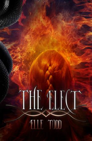 Cover of the book The Elect (Allison's Story #1) by Jackson Stein