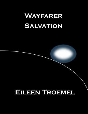Book cover of Wayfarer Salvation