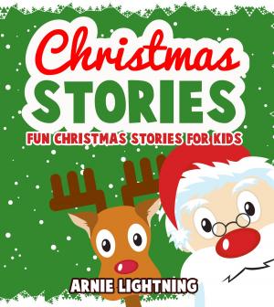 Book cover of Christmas Stories: Fun Christmas Stories for Kids