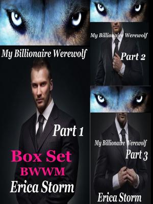 Book cover of My Billionaire Werewolf Box Set