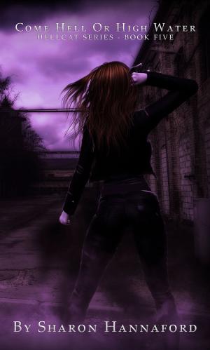 Book cover of Come Hell or High Water (Hellcat Series Book 5)