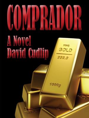 Book cover of Comprador