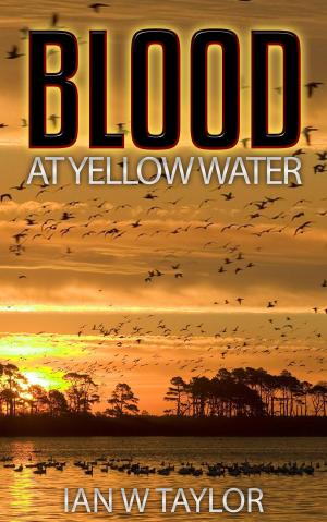 Cover of the book Blood at Yellow Water by Hans V. von Maltzahn