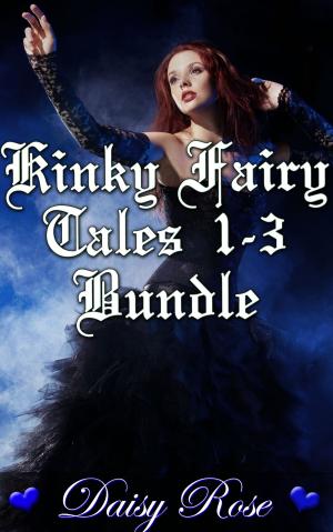 Cover of the book Kinky Fairy Tales 1-3 Bundle by Yann Julien