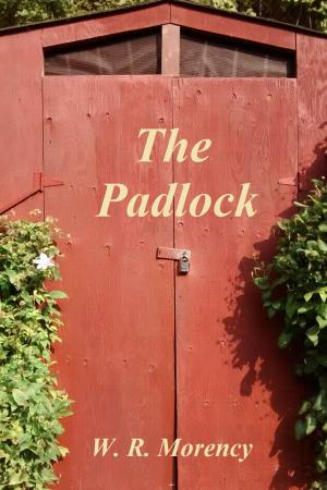 Book cover of The Padlock