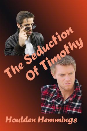 Cover of the book The Seduction of Timothy by W. M. Stahl